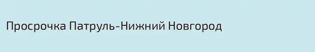 Просрочка Патруль-Нижний Новгород
